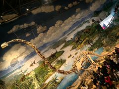 -自贡恐龙博物馆