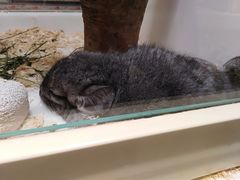 -龙猫仔乐园(惠福东路店)