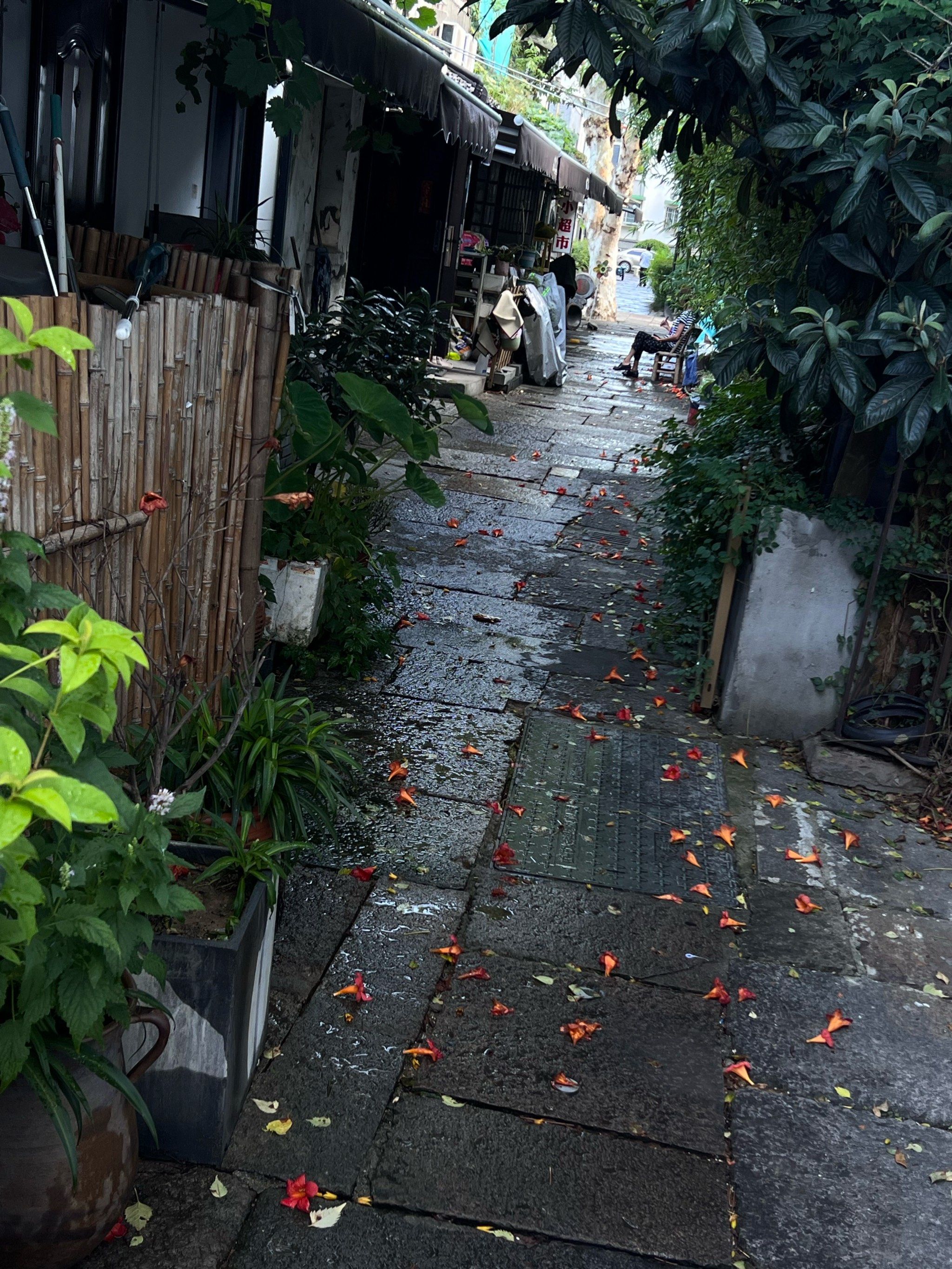 小巷深处的惬意生活