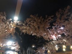 -金沙汤泉·足道洗浴汗蒸