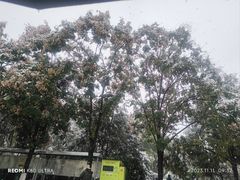 -星璨火吧KTV聚会餐厅(丰庆路店)