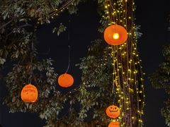 -横店影视城梦幻谷园区