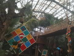 -呀路古热带植物园