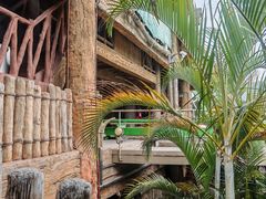 -珠海长隆海洋王国-鹦鹉过山车