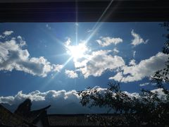 -喵屿·大理花园猫咖