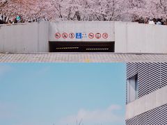 -龙美术馆(西岸馆)