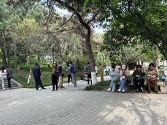 -西安青龙寺遗址景区