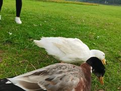 -Club Med地中海俱乐部·桂林度假村