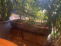 -茗情傣味