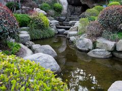-北岭山森林公园