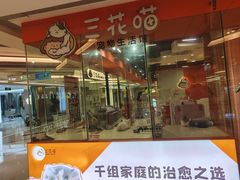 -三花喵·撸猫购宠·宠物生活馆(虹桥南丰城店)