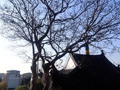 -东坡赤壁风景名胜区