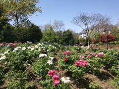 -江南大学(蠡湖校区)