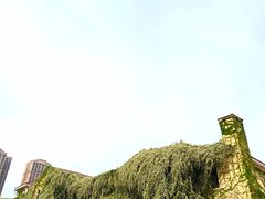 -府河摄影公园