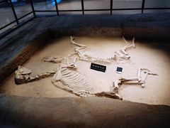 -洛阳周王城天子驾六博物馆