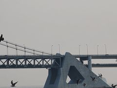 -星海广场