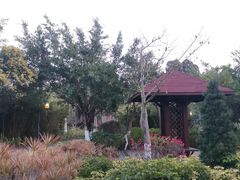 -五缘湾湿地公园