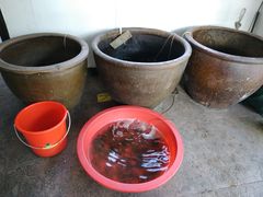 -翠茗农庄土菜馆(天目湖店)