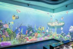 -酷嗒动物文化乐园(cutezoo西溪乐天城店)