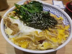 亲子盖饭-水之惠鲜鱼料理(王府大街店)