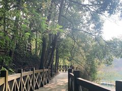 -广州市流溪河国家森林公园