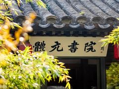 -巴巴新生活·四合院会议·疗愈团建.品牌活动