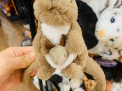-杭州野生动物世界