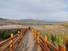 -可可托海景区