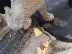 -乡乐园蟹庄·阳澄湖农家乐