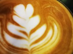 -MOLECULECOFFEE.MANDO 莫勒喝咖啡