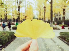 -两江幸福广场