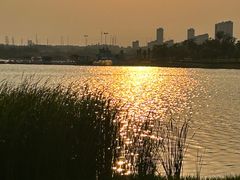 -九龙湖公园