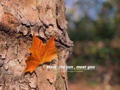 -海兰云天度假区温泉