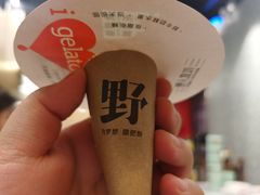 -野人先生现做冰淇淋(西安赛格店)