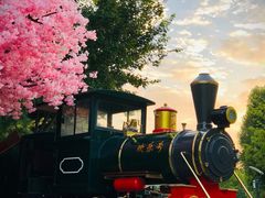 -南宫五洲植物乐园