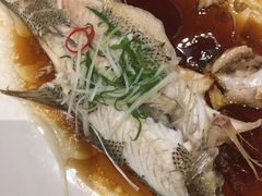 -古南都·老广东酒楼(龙江店)