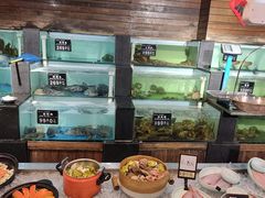 -浩运海鲜·16年专注青岛菜(石老人店)