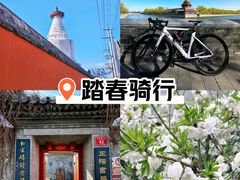 -妙应寺白塔