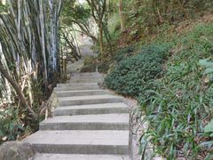 景点-火炉山森林公园