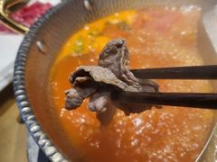 -手选潮汕鲜活牛肉火锅(二七广场店)