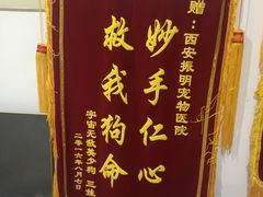 -诺威宠物医院(官邸分院)