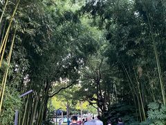 -苏州河梦清园环保主题公园