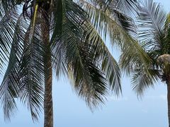 -三亚南山文化旅游区