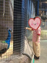 点击看大图 -酷嗒动物文化乐园(cutezoo西溪乐天城店)