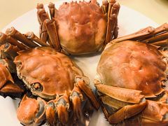 -王宝和酒家(黄浦店)