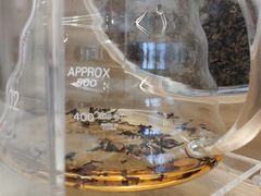 -喜茶(永旺梦乐城店)