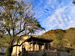 -塔川景区