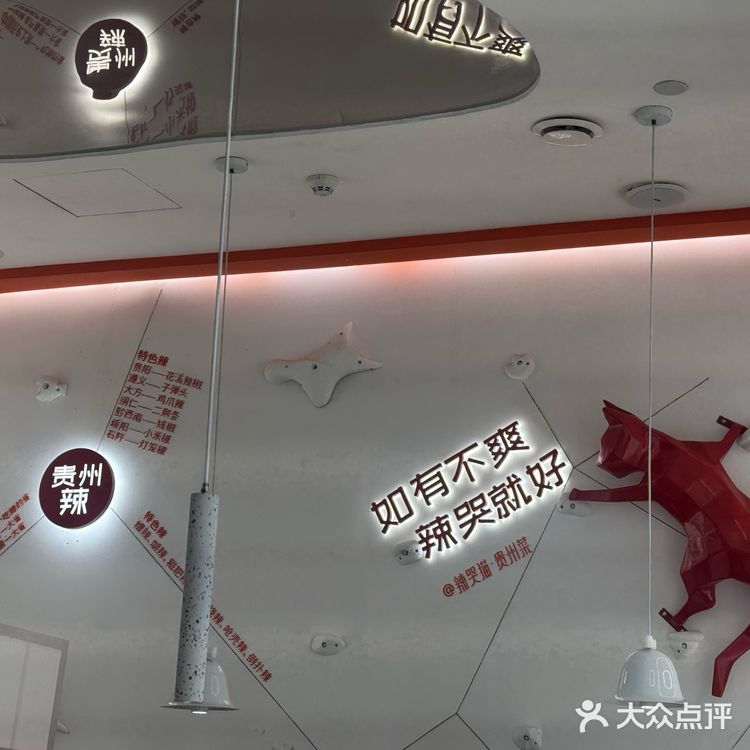 😻被这家猫咪主题餐厅辣哭,但我还想再来!