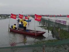 -丫丫蟹庄·苏式园林农家乐·阳澄湖大闸蟹(阳澄湖莲花岛店)