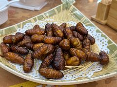 -渔码头食府(蓬莱阁店)
